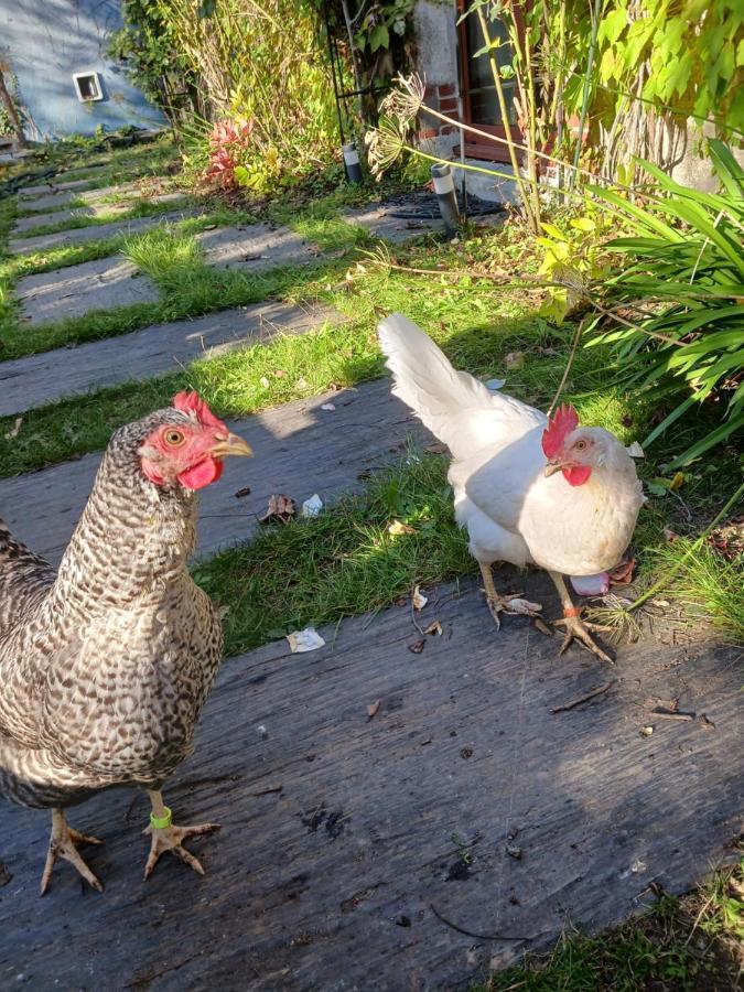 Logement Entier - Le Pigeonnier De La Plume Ναντ Εξωτερικό φωτογραφία