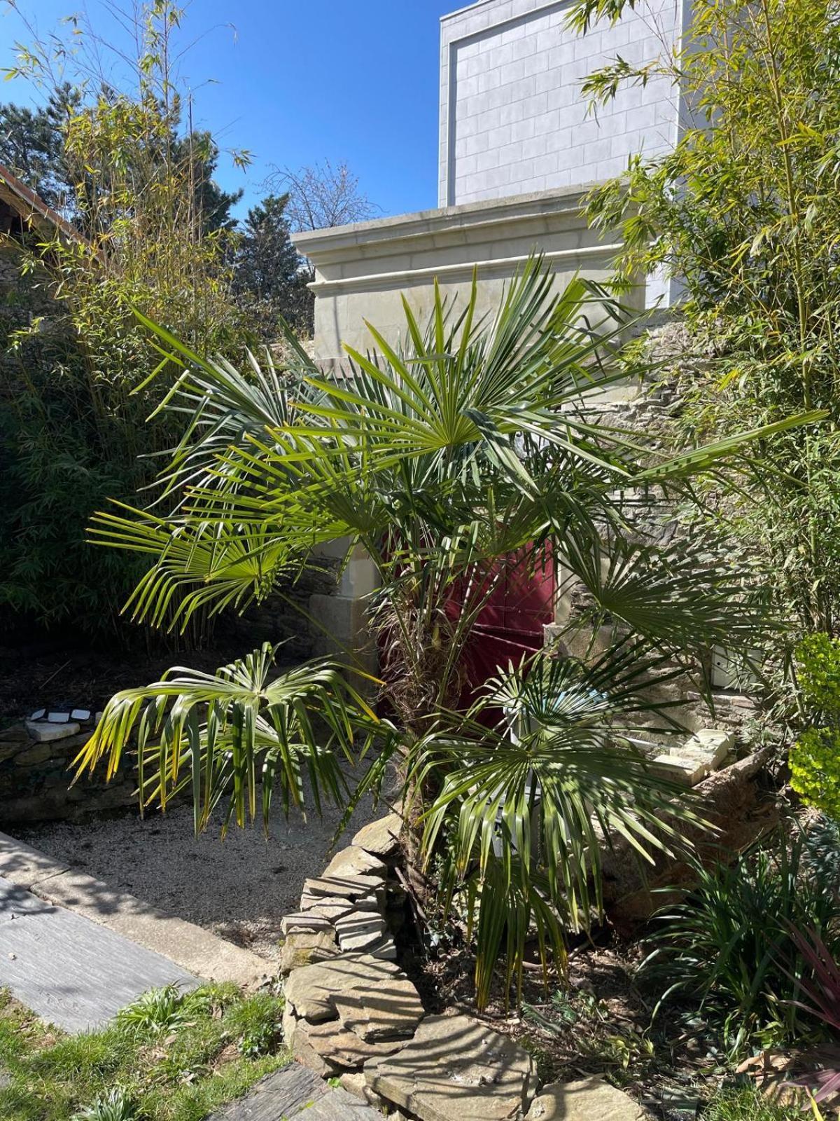 Logement Entier - Le Pigeonnier De La Plume Ναντ Εξωτερικό φωτογραφία